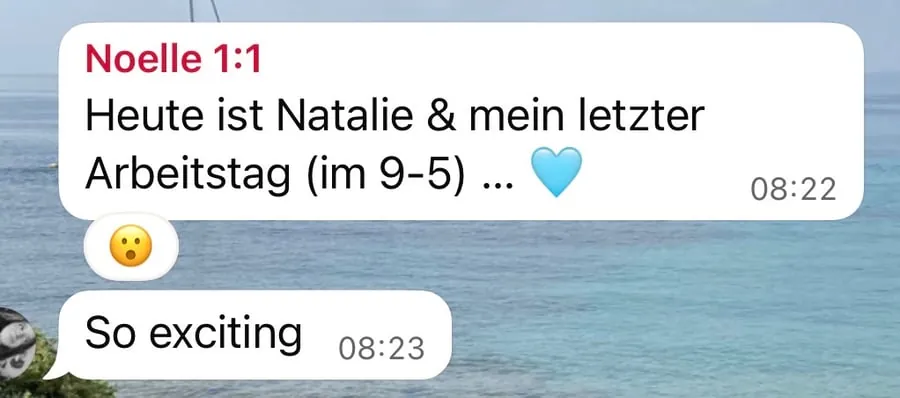 Kundenstimme über die SheEarnsGlobal Academy