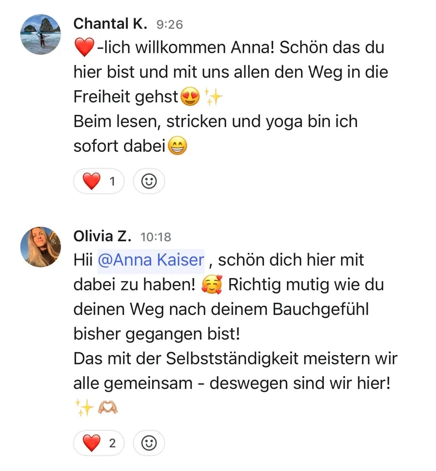 Kundenstimme über die SheEarnsGlobal Academy