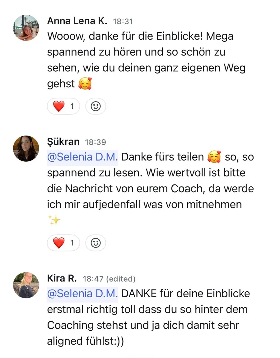 Kundenstimme über die SheEarnsGlobal Academy