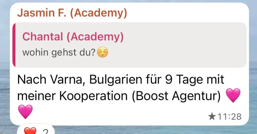 Kundenstimme über die SheEarnsGlobal Academy
